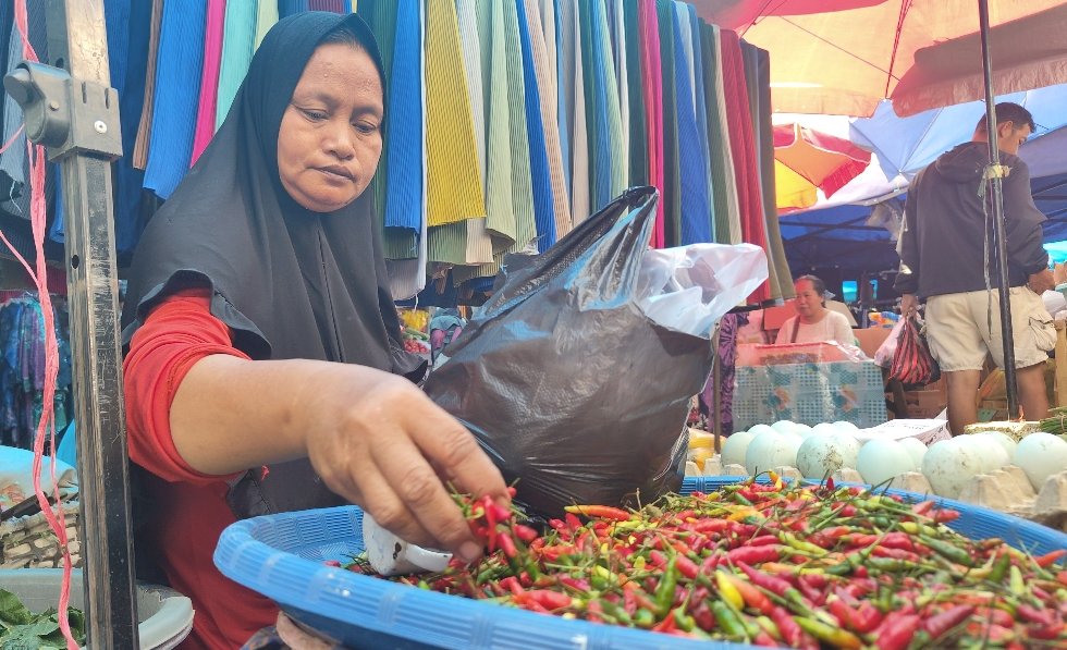 Musim Kemarau Buat Petani Gagal Panen, Harga Cabai Rawit di Polman Tembus Rp120 Ribu per Kg
