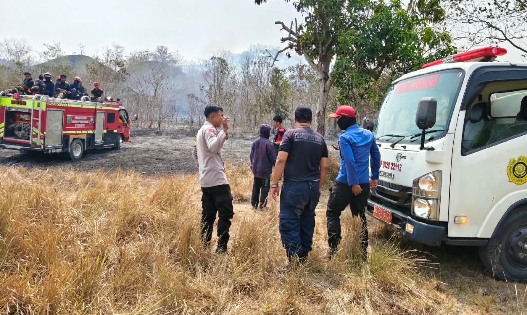 30 Hektar Lahan di Mapilli Terbakar, 6 Jam Tim Gabungan Berjibaku Padamkan Api